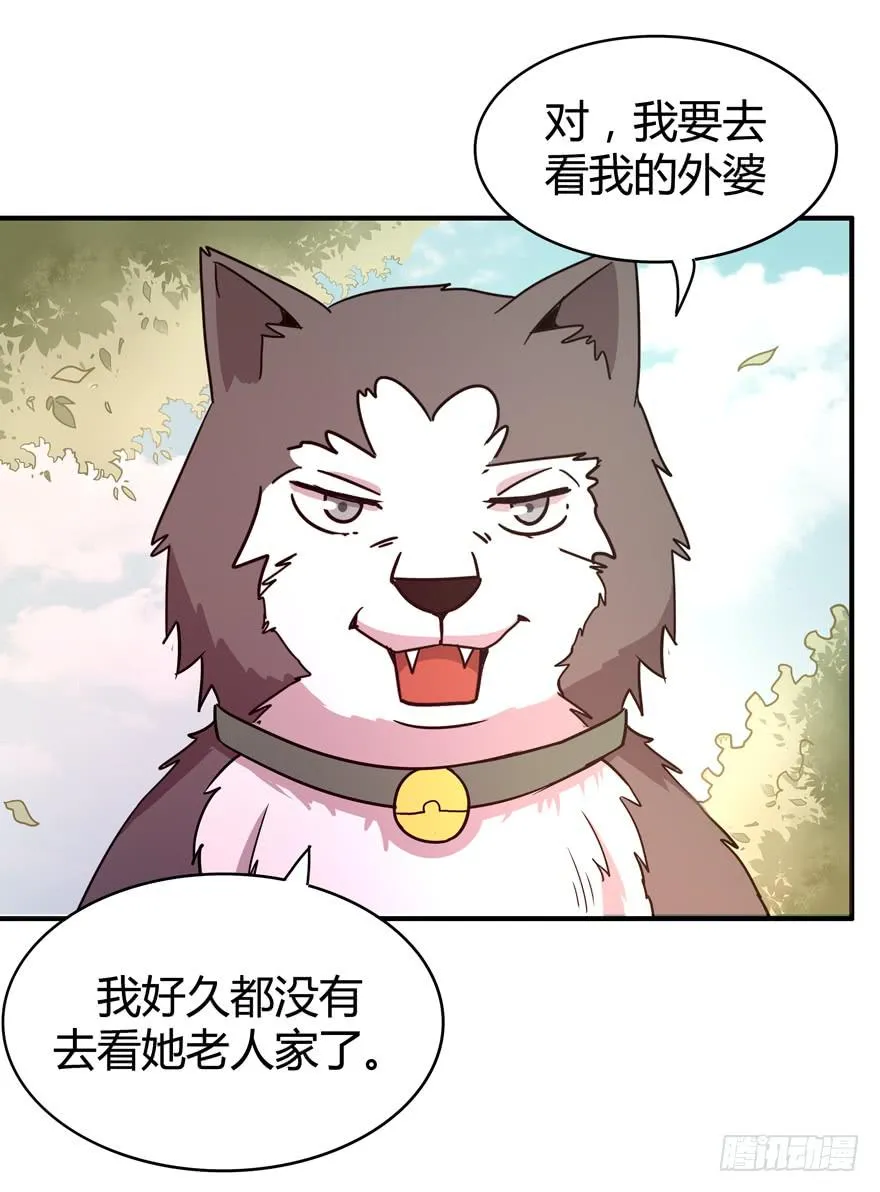 王二哈的身世之谜 第5页