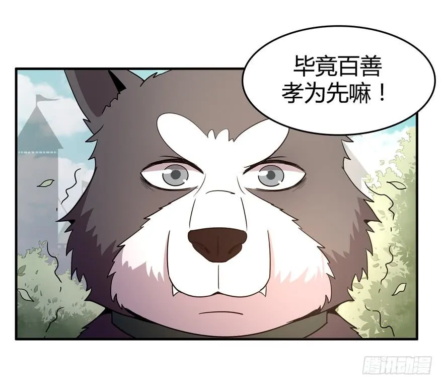 王二哈的身世之谜 第12页