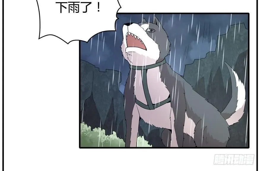 军犬的荣耀 第5页