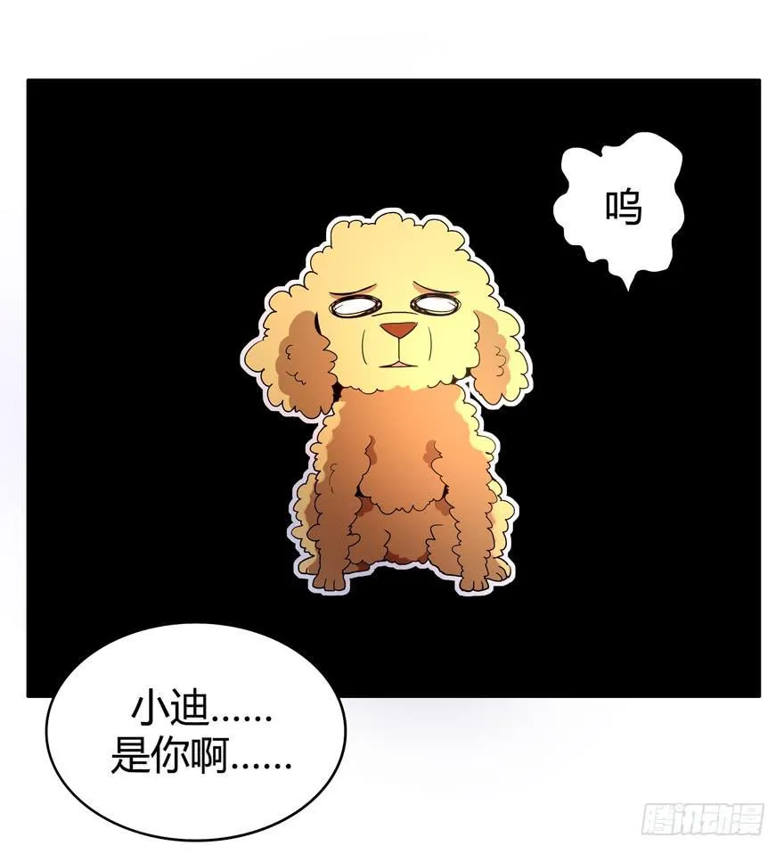 军犬的荣耀 第10页