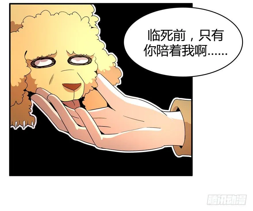 军犬的荣耀 第11页