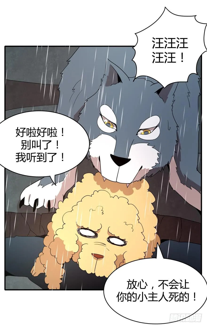 军犬的荣耀 第17页
