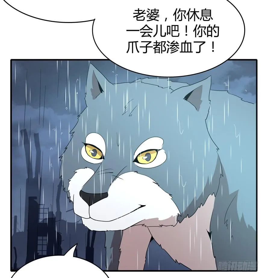 军犬的荣耀 第27页