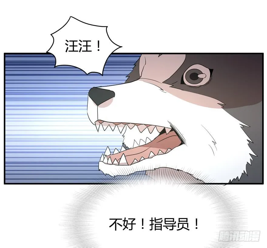 军犬的荣耀 第37页