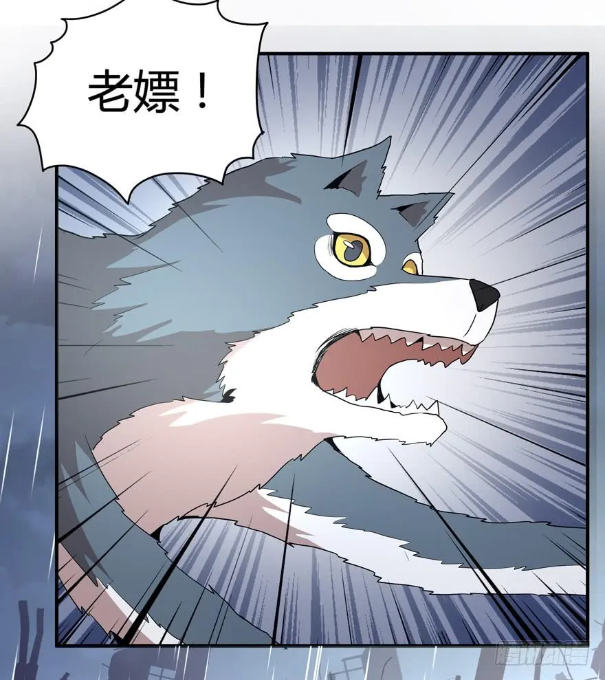 军犬的荣耀 第44页