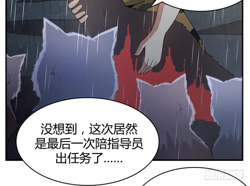 军犬的荣耀 第51页