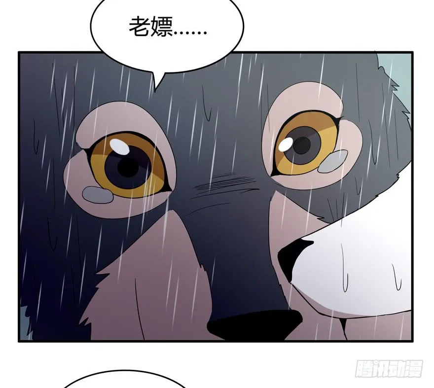军犬的荣耀 第57页