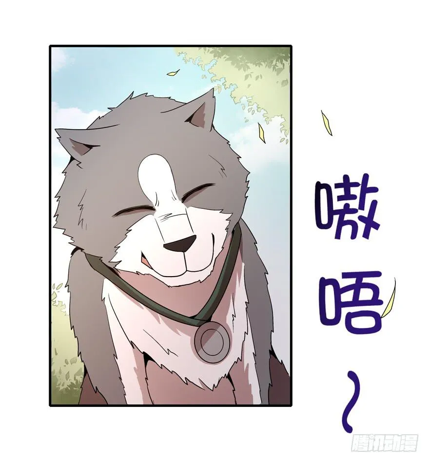 传承 第11页