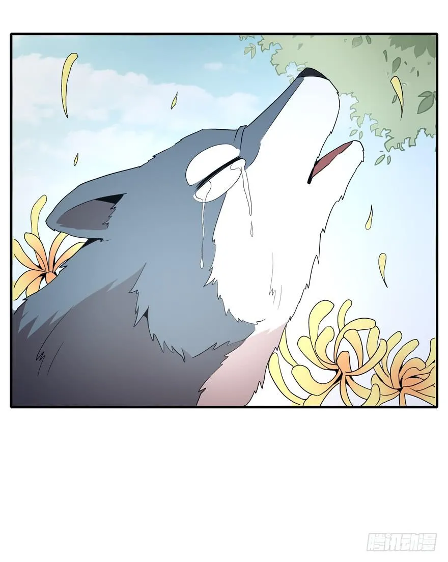传承 第13页
