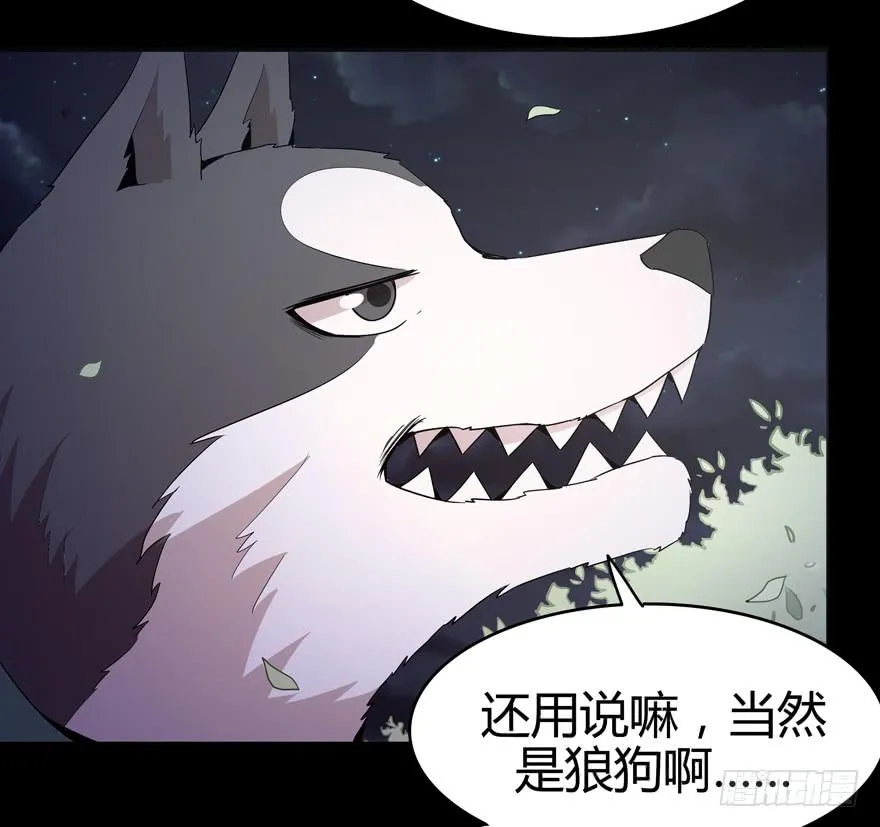 传承 第24页