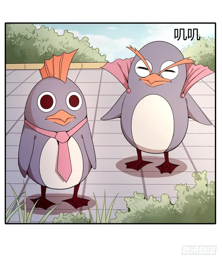 创造动物园 第29页