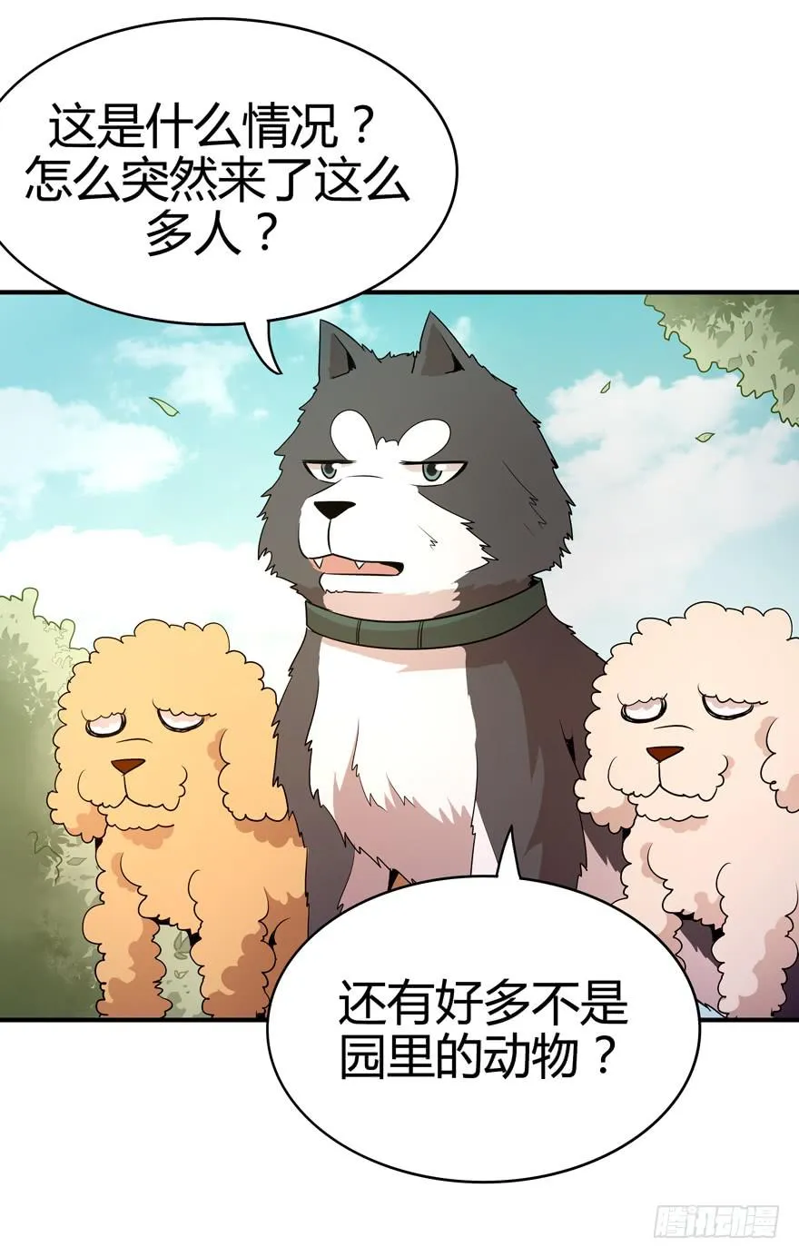 创造动物园 第32页