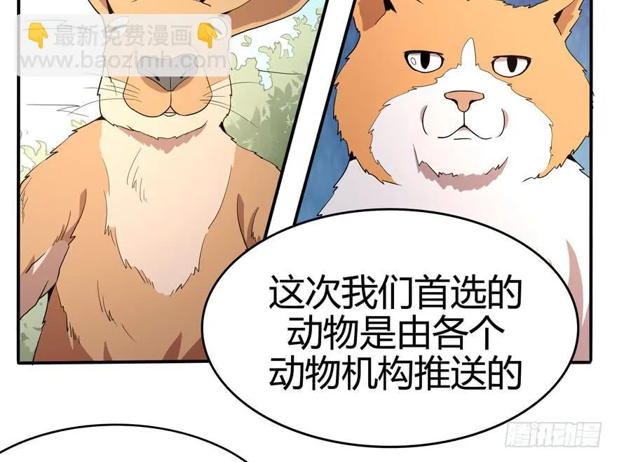 创造动物园 第52页