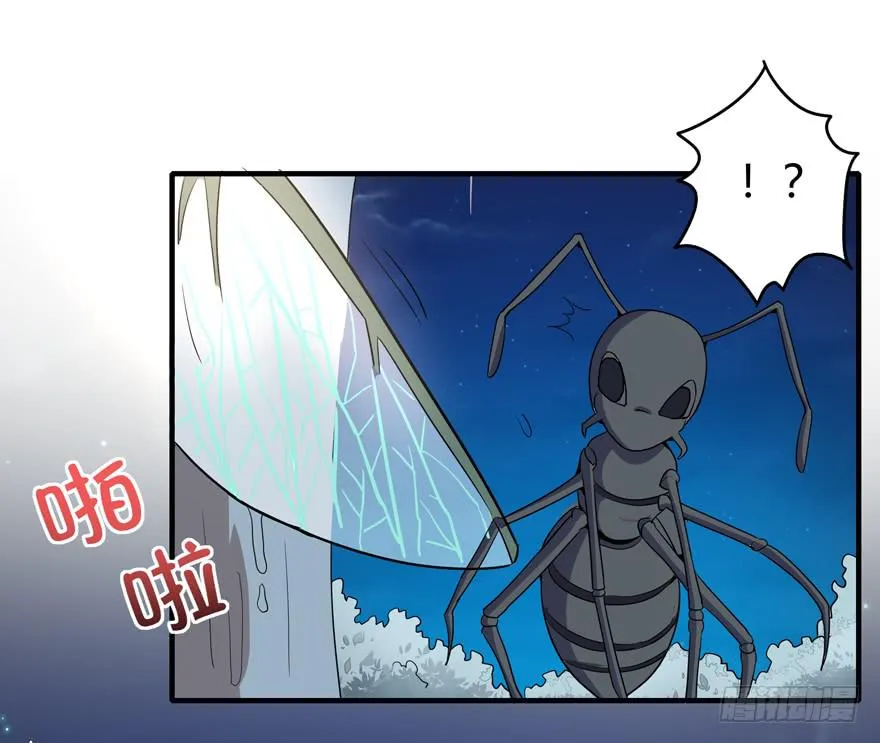 生如夏花 第11页