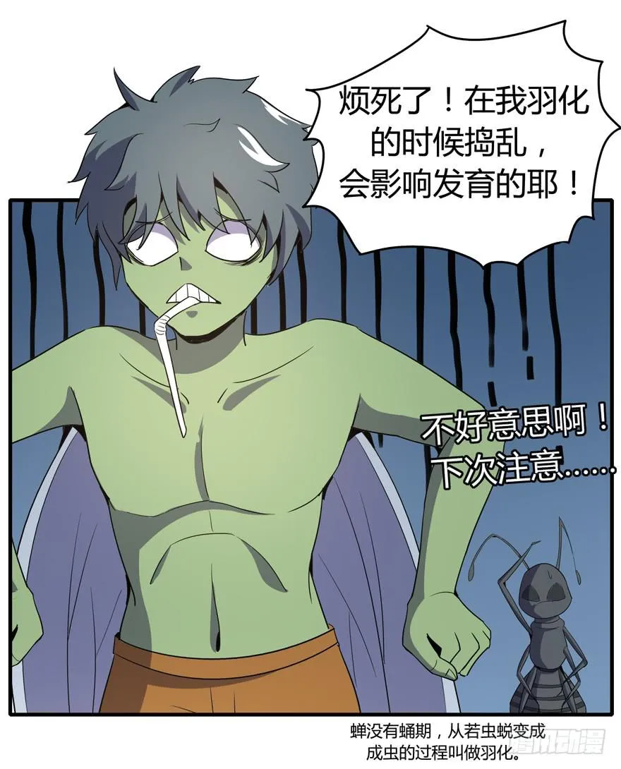 生如夏花 第22页