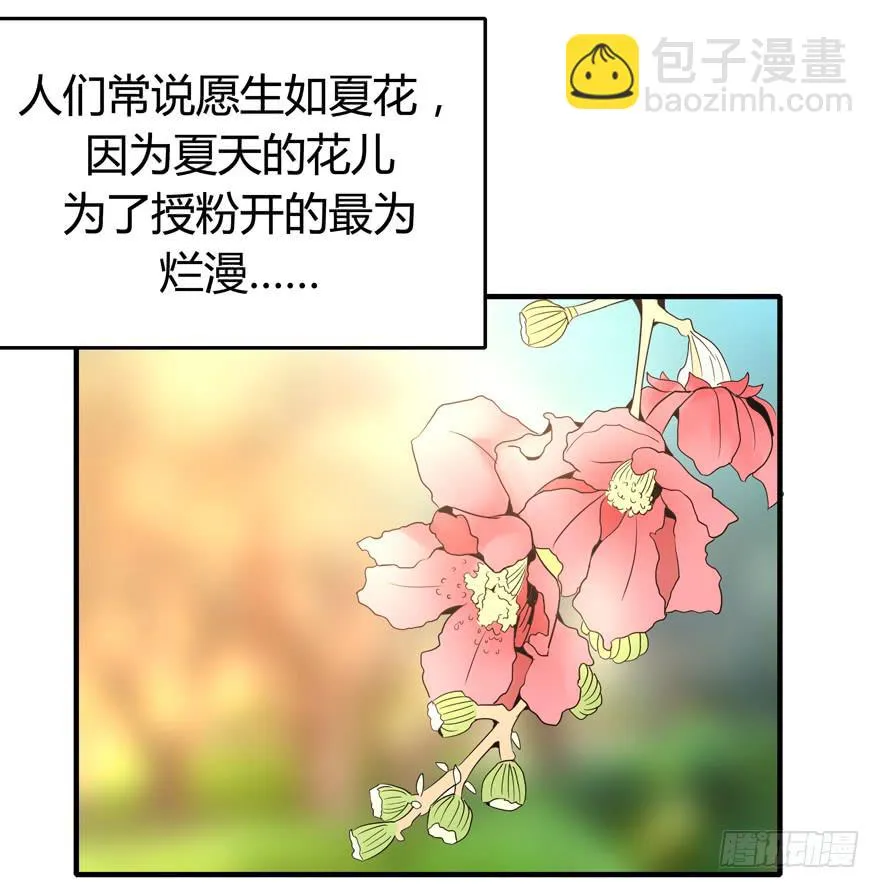 生如夏花 第23页