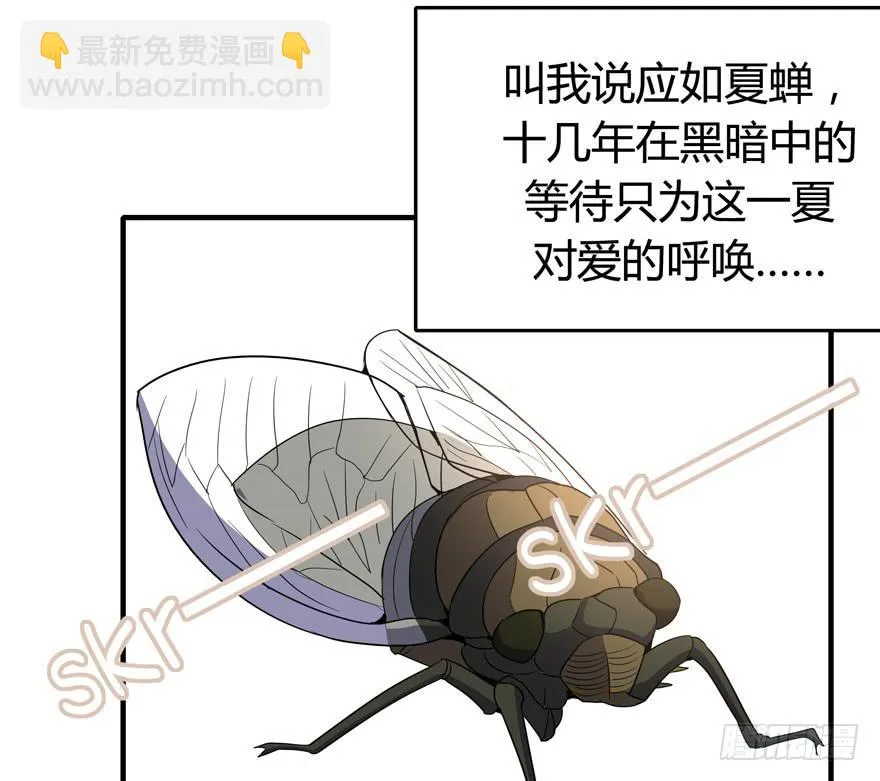 生如夏花 第24页