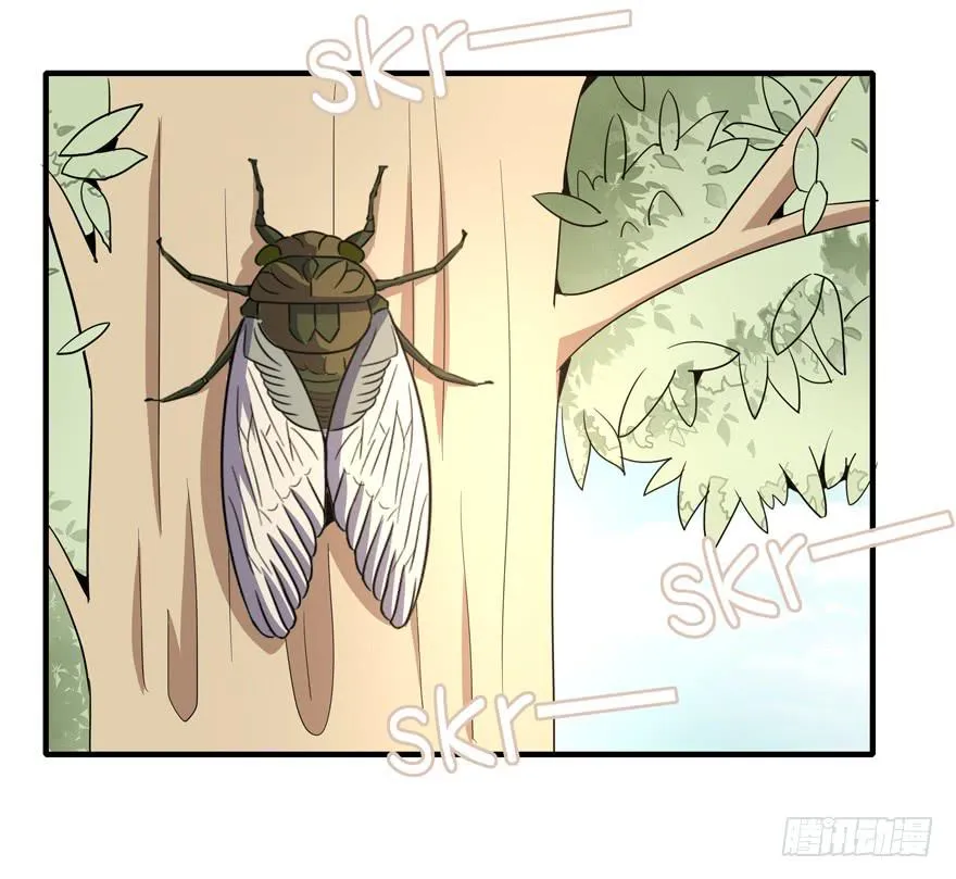 生如夏花 第35页