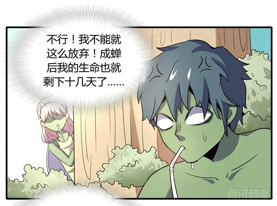 生如夏花 第37页