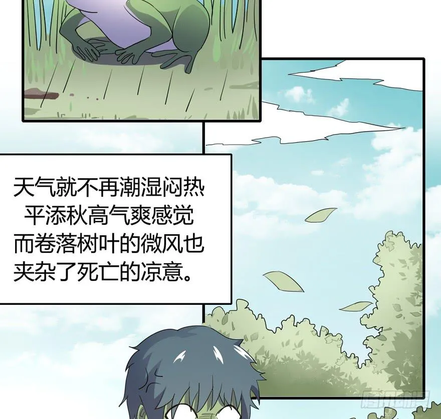 生如夏花 第47页