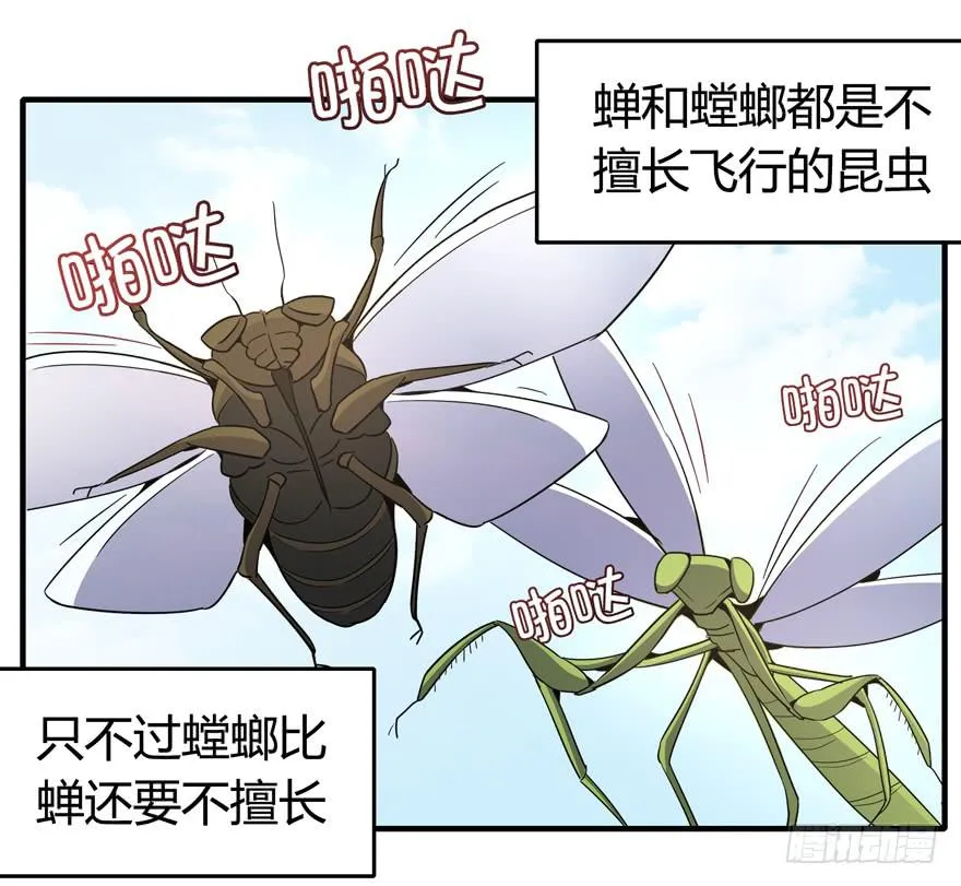 死如秋蝉 第25页