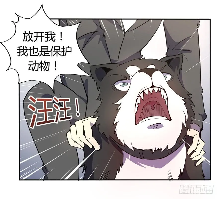 回家 第27页