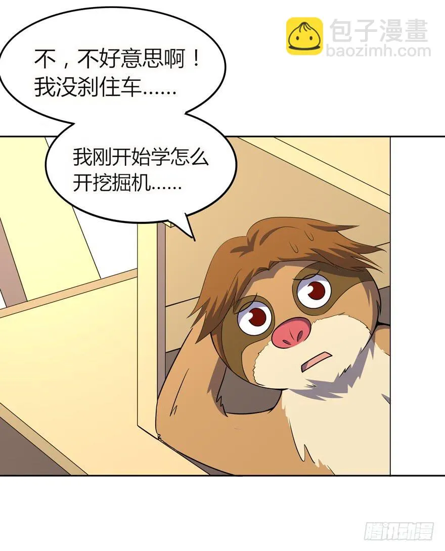 里动物园 第43页