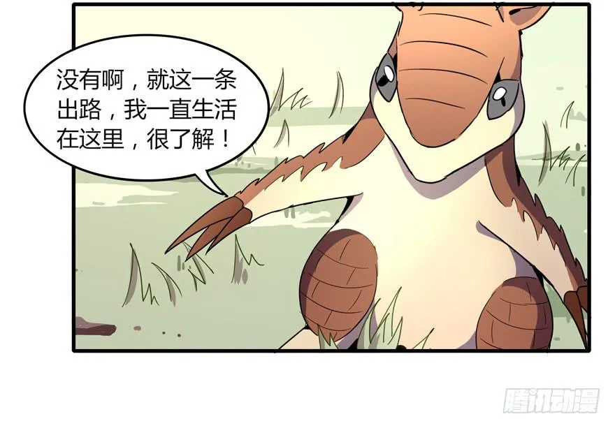 动物奇妙物语 第17页