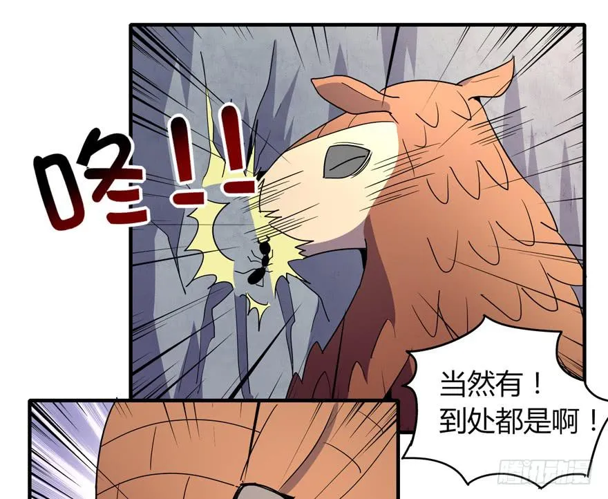 动物奇妙物语 第48页