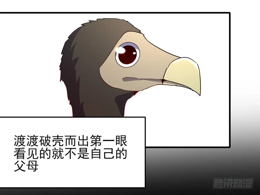 万物有灵 第13页