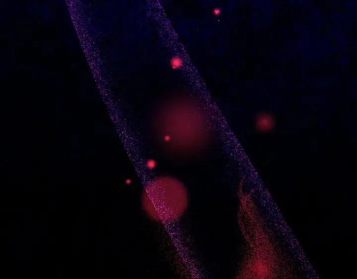 第156话 顺水推舟 第55页