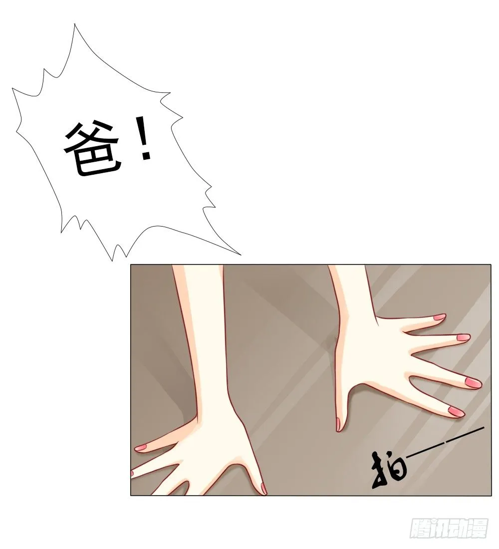 百分之二十的股份 第24页