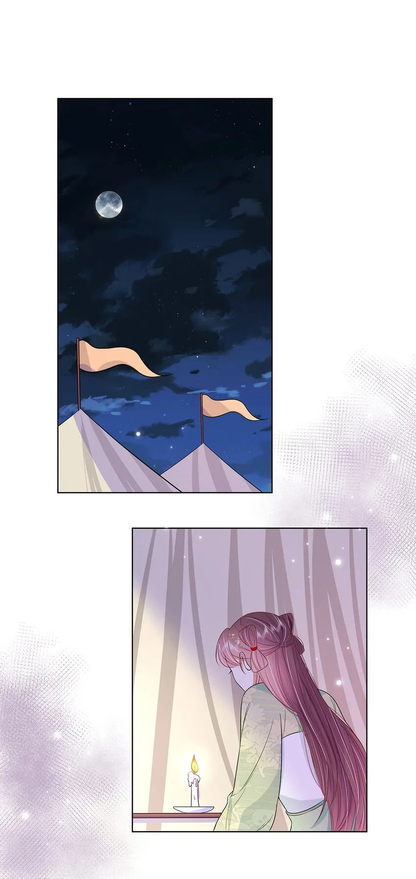 046 第四十六话 容妃 第14页