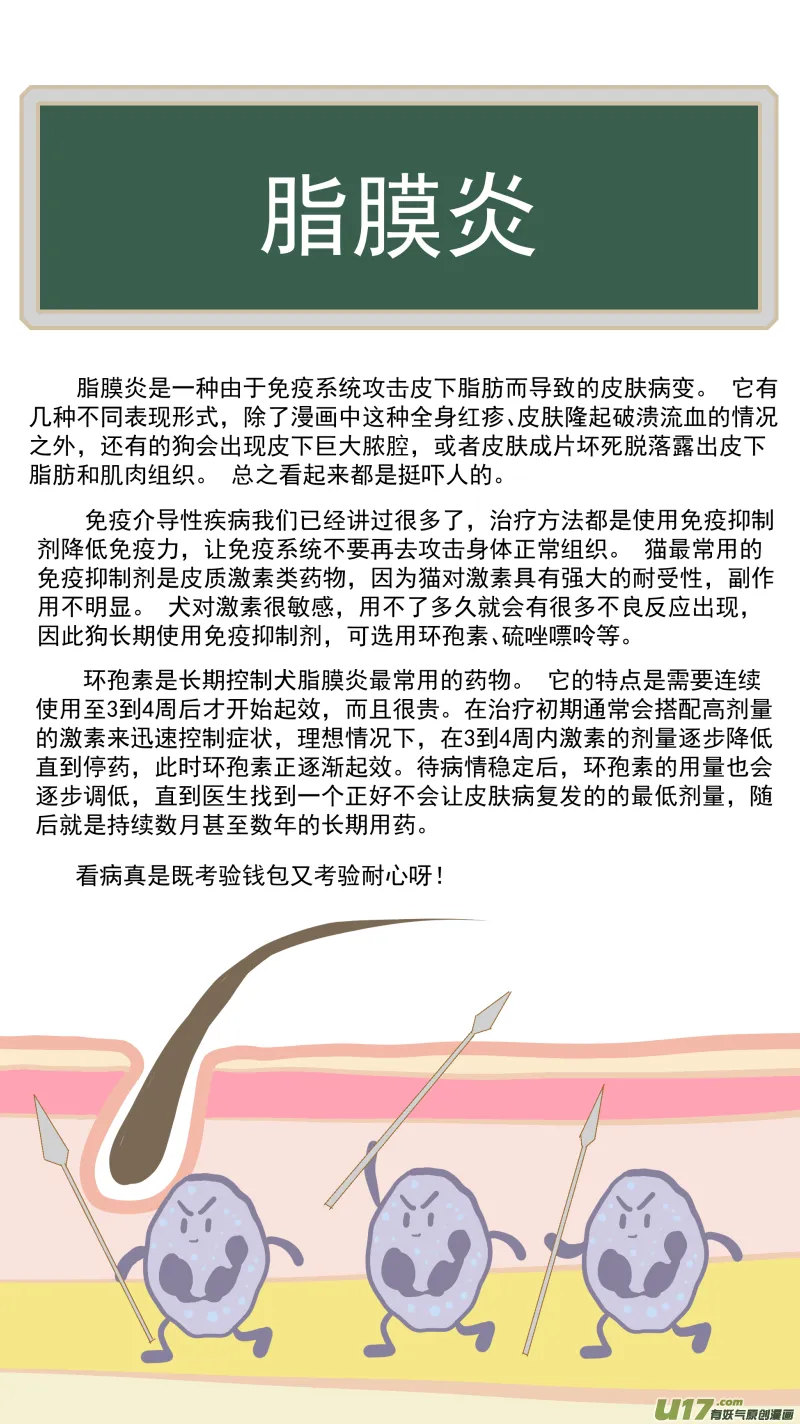 179 脂膜炎 第11页
