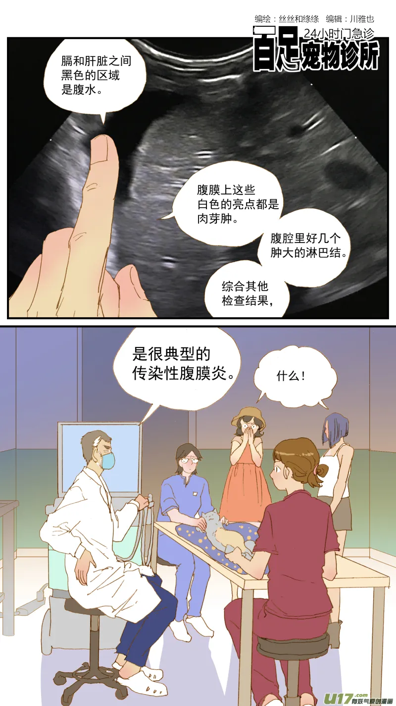 171 猫传腹治疗药物 第1页