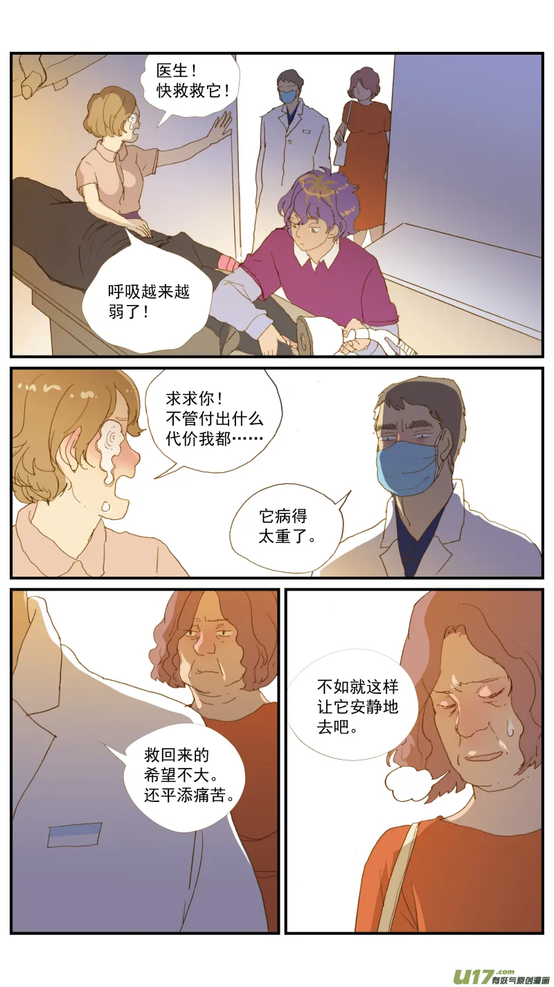 171 猫传腹治疗药物 第10页