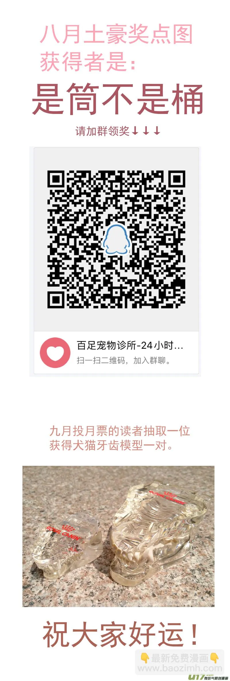 171 猫传腹治疗药物 第14页