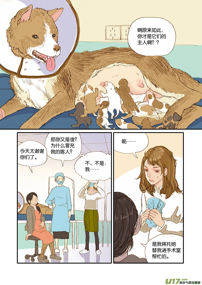 001犬剖宫产 第19页