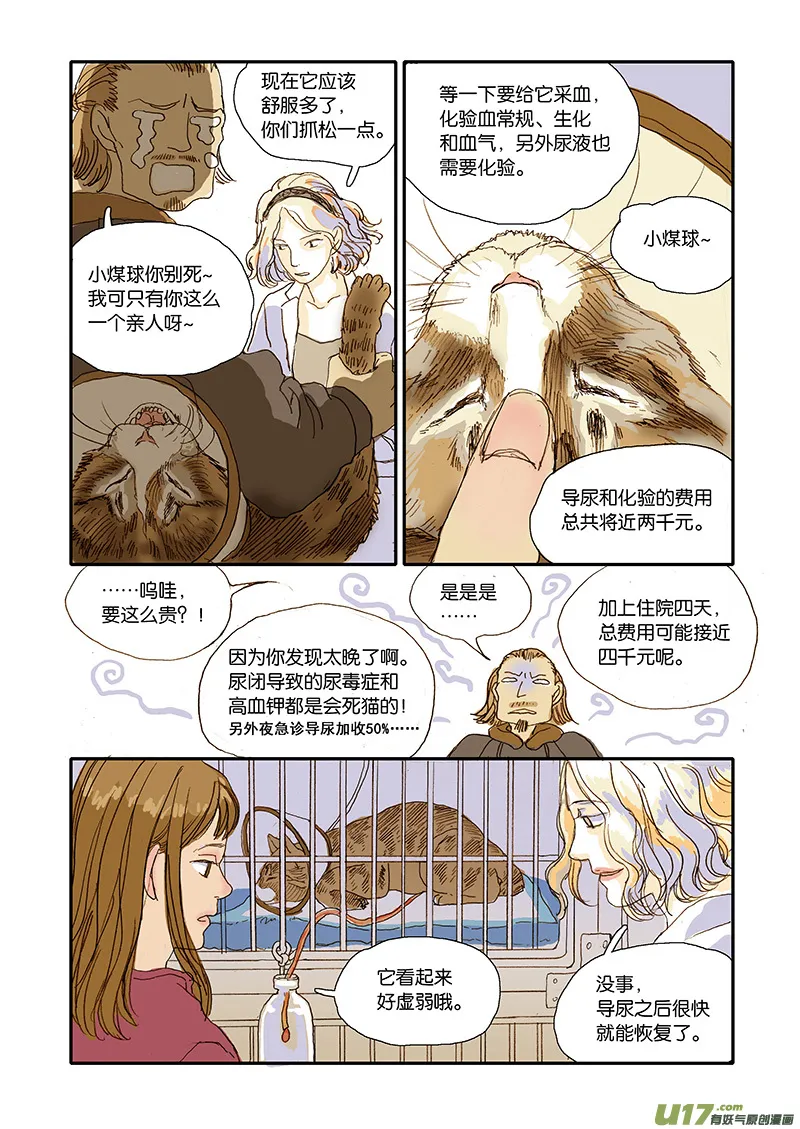 006 公猫尿闭 第5页