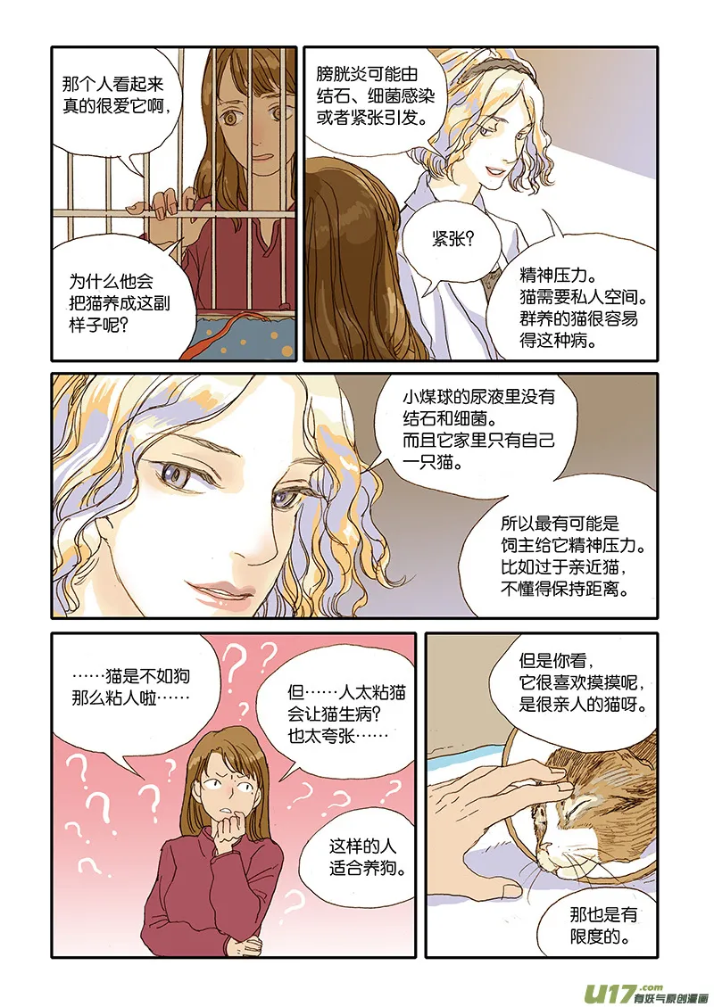 006 公猫尿闭 第6页