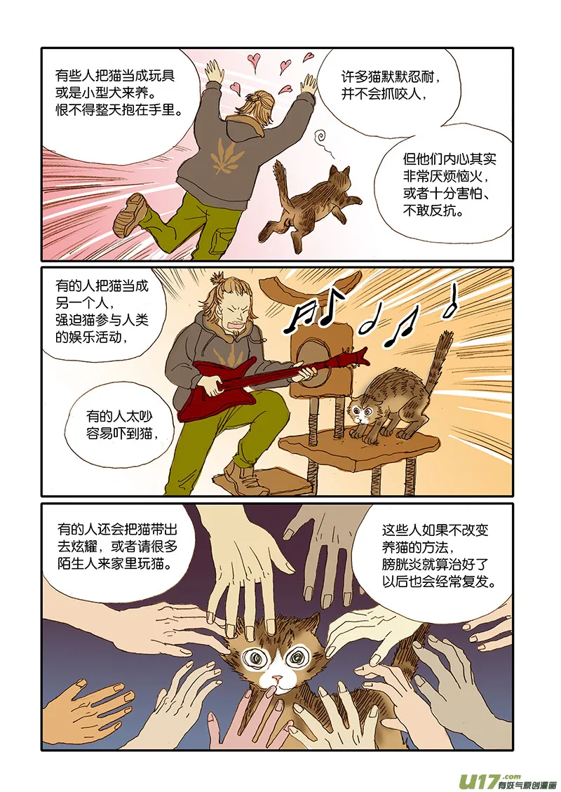 006 公猫尿闭 第7页