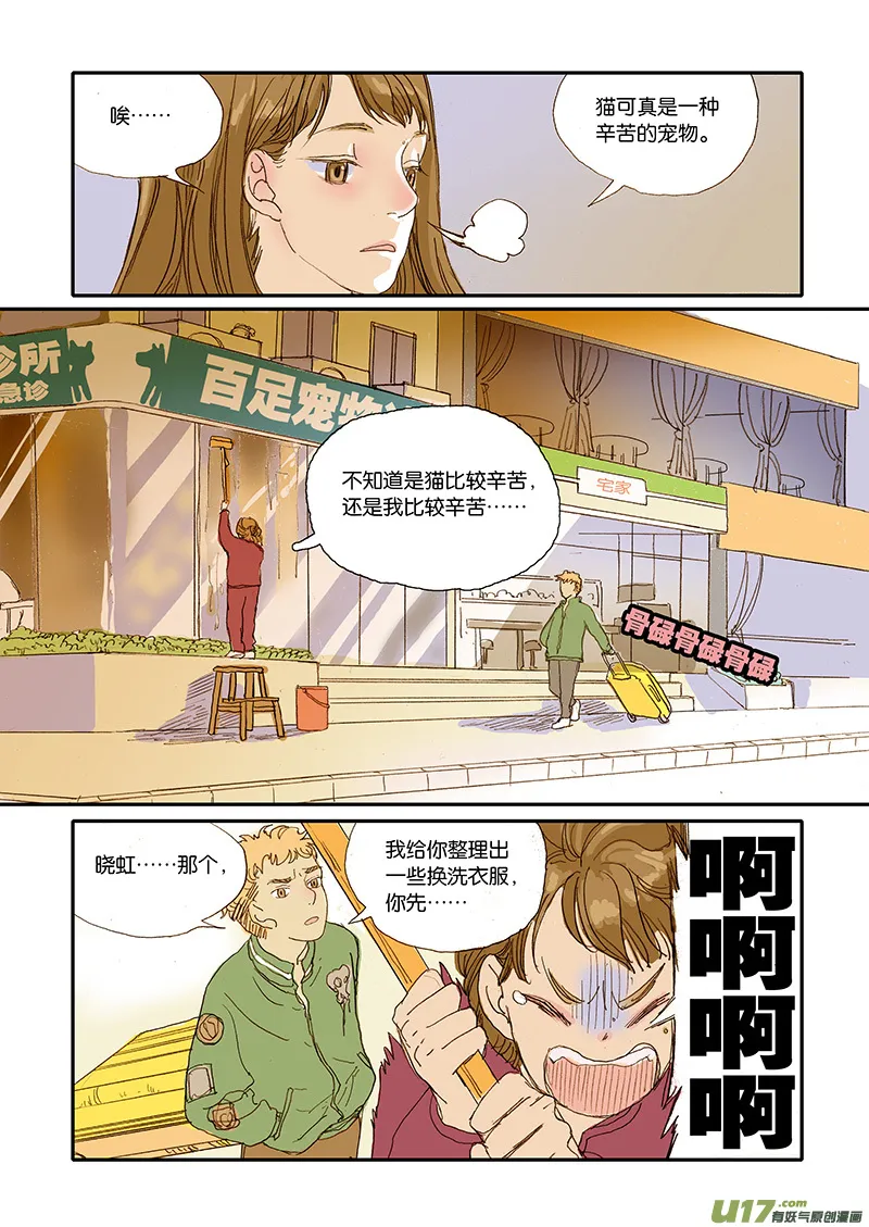 006 公猫尿闭 第8页