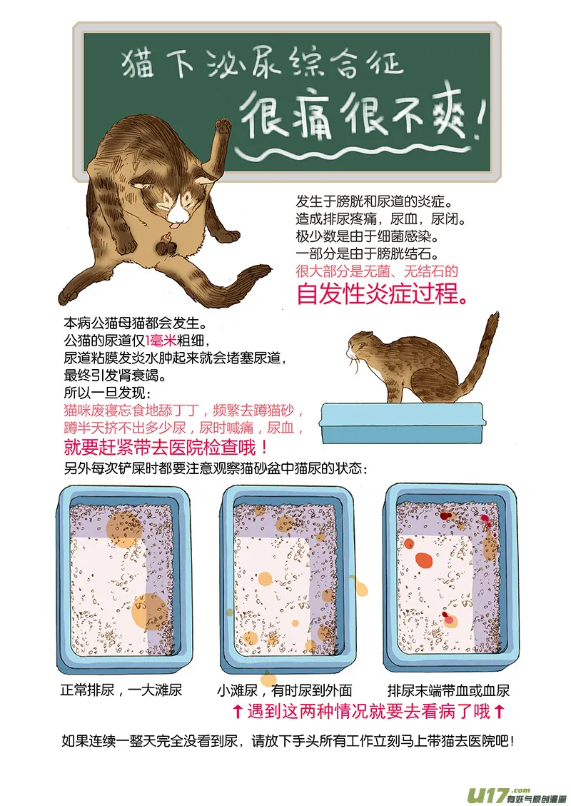 006 公猫尿闭 第10页