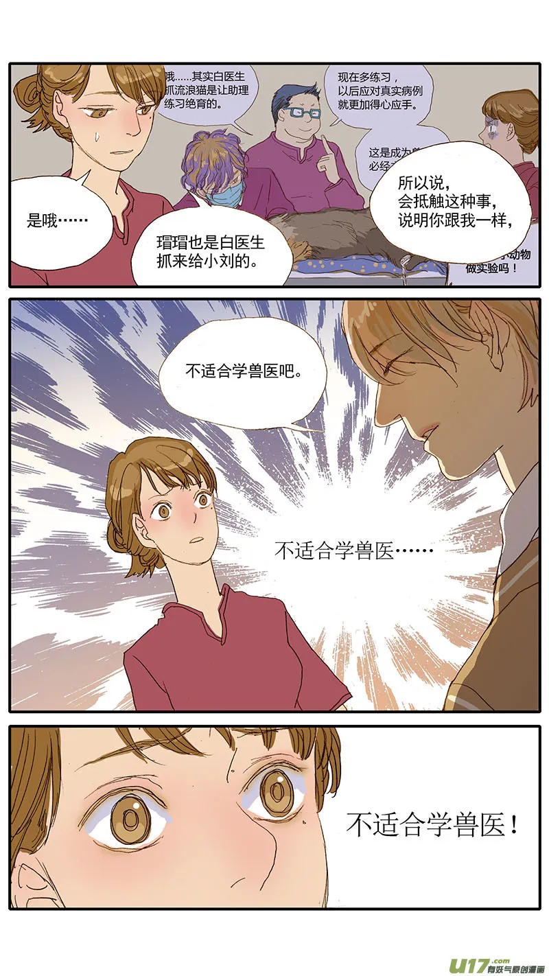 44 第11页