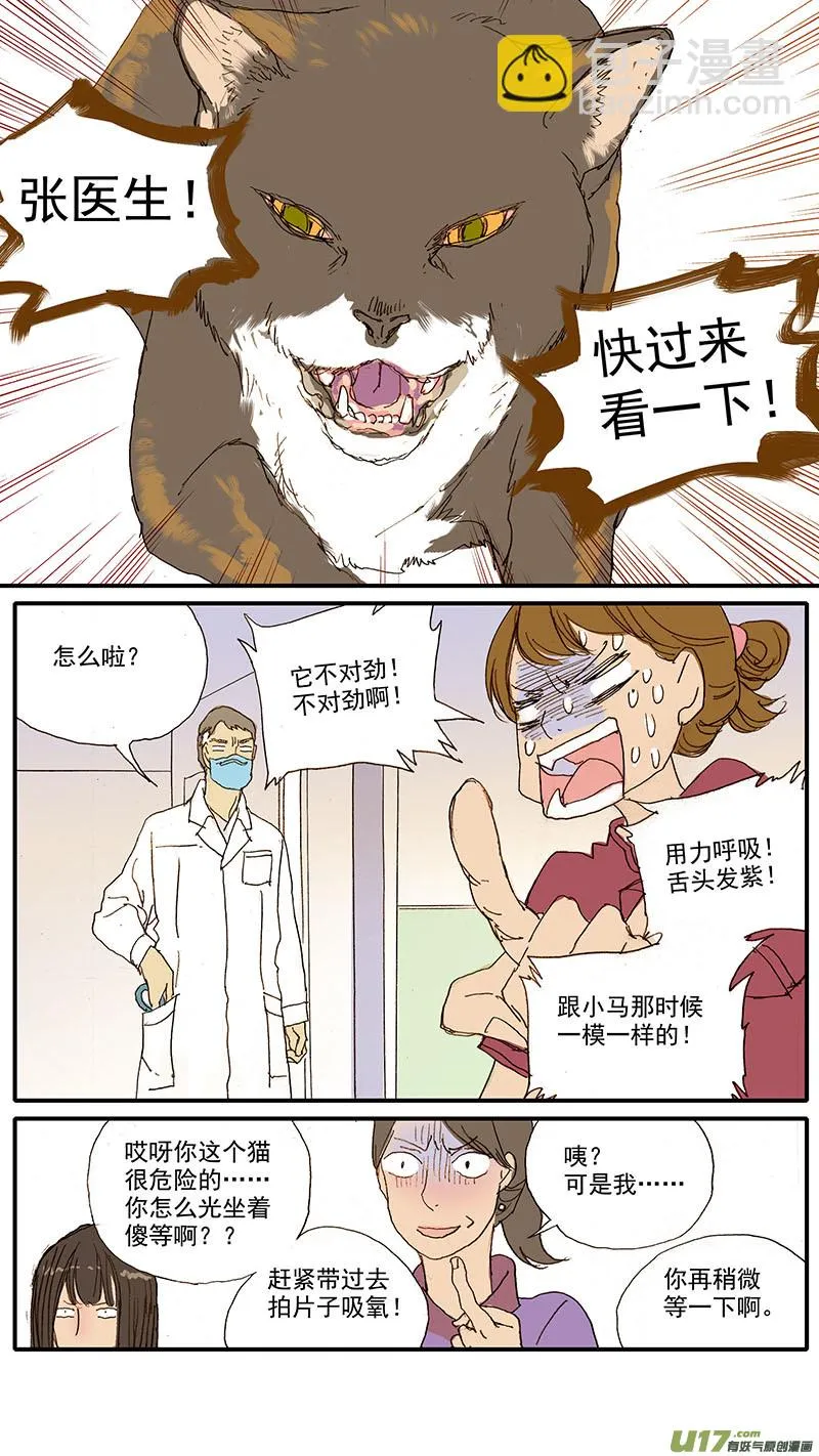 065 猫胸腔积液 第8页
