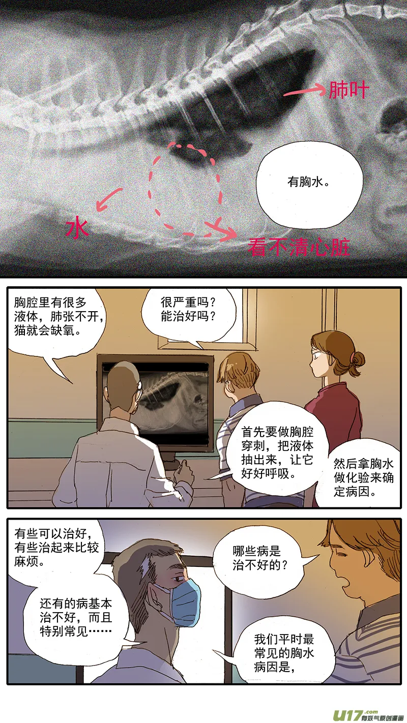 065 猫胸腔积液 第10页