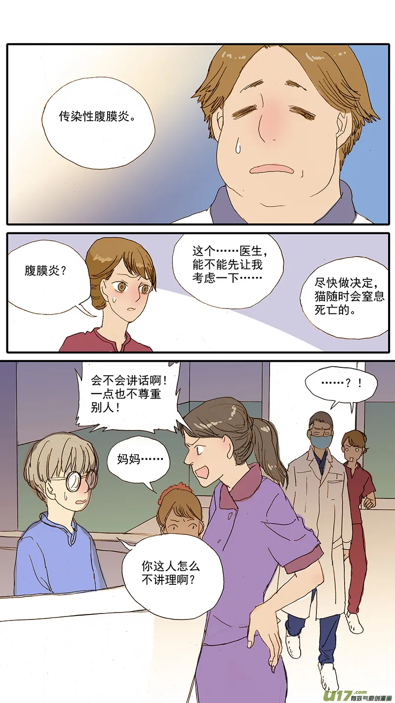 065 猫胸腔积液 第11页