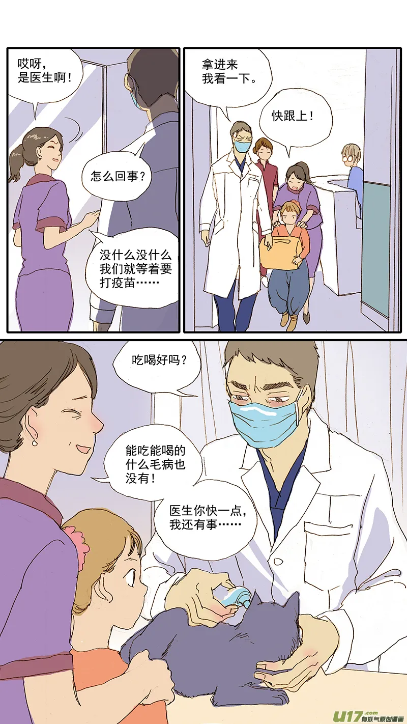 065 猫胸腔积液 第12页