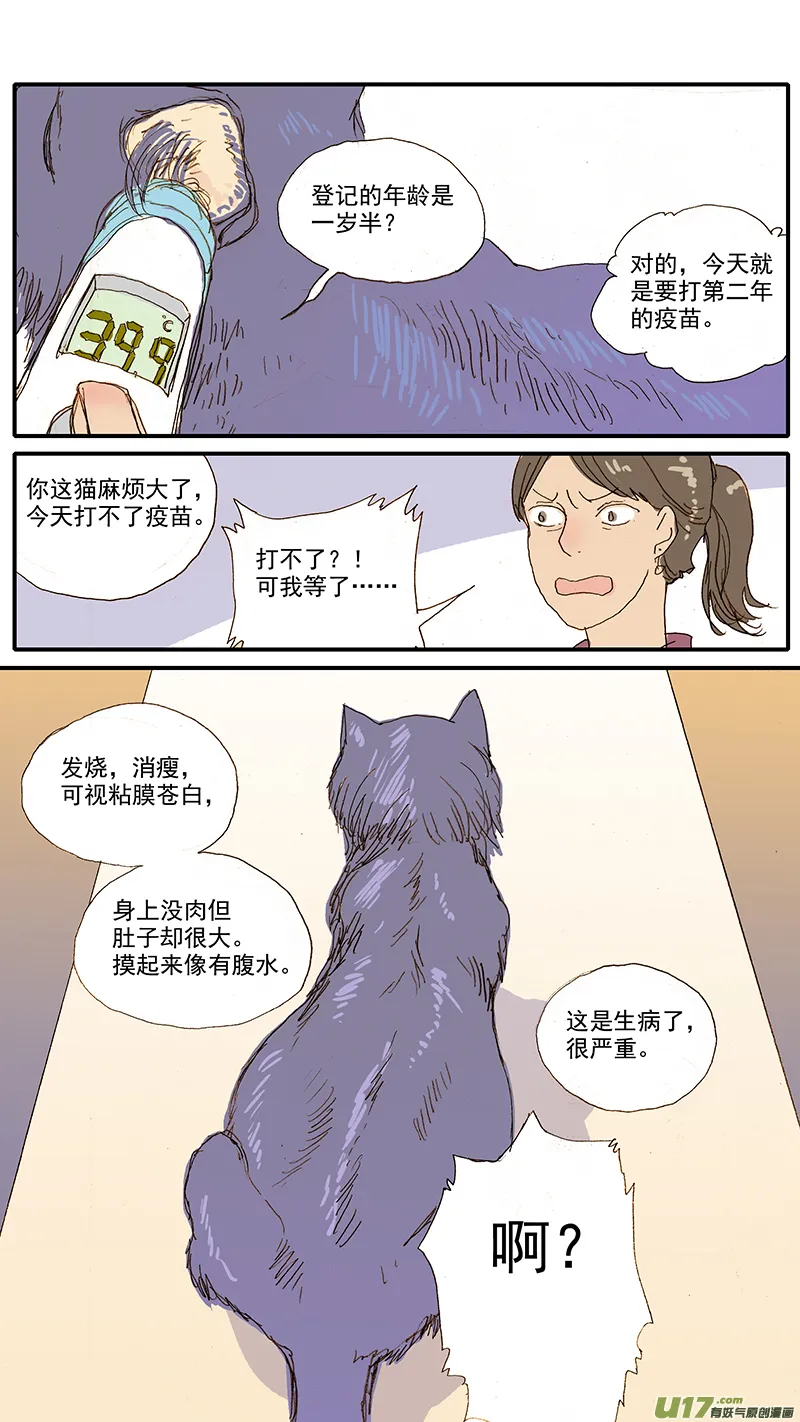 065 猫胸腔积液 第13页