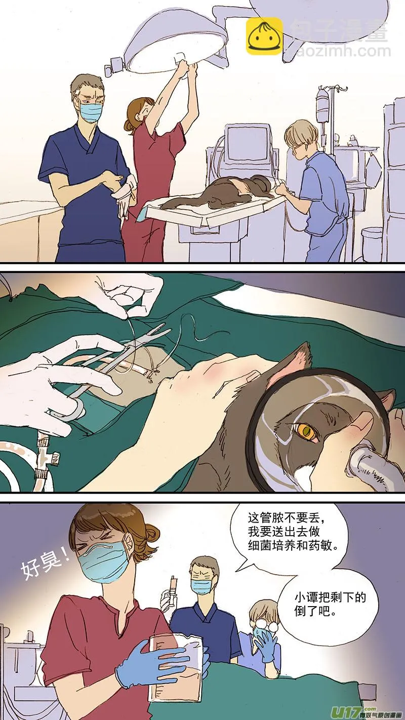 066 脓胸 第10页